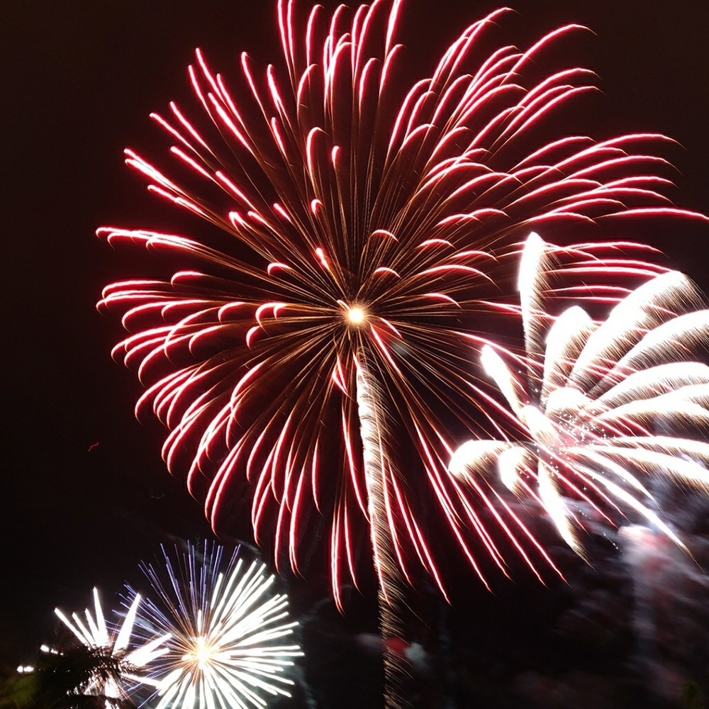 Meet your Posher, Elijah